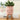 PlantPals | Creatieve Plantenknuffel - Bliss Home