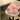 CherryBloom | Roze Bloesem Vloerkussen - Bliss Home
