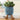 PlantPals | Creatieve Plantenknuffel - Bliss Home