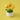 WolBloem | Decoratieve Potplant - Bliss Home