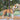 LuxuryFit | Verstelbaar Hondentuig voor Grote en Kleine Honden - Bliss Home