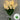 LightBloom | Decoratieve Tulpen - Bliss Home