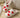 SnugStep – Antislip Dames en Heren Huisslippers voor Kerst en Thuis - Bliss Home