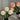 TulipGlow | LED Nachtbloem Lamp - Bliss Home