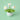 WolBloem | Decoratieve Potplant - Bliss Home