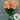 LightBloom | Decoratieve Tulpen - Bliss Home