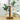 GlowPlant | Glazen Tafelplant Lamp - Bliss Home