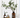 EucaLoom – Gedroogde Eucalyptusbladeren voor Natuurlijke Decoratie - Bliss Home