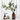 EucaLoom – Gedroogde Eucalyptusbladeren voor Natuurlijke Decoratie - Bliss Home