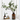 EucaLoom – Gedroogde Eucalyptusbladeren voor Natuurlijke Decoratie - Bliss Home