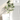 EucaLoom – Gedroogde Eucalyptusbladeren voor Natuurlijke Decoratie - Bliss Home