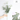 EucaLoom – Gedroogde Eucalyptusbladeren voor Natuurlijke Decoratie - Bliss Home