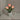 TulipGlow | LED Nachtbloem Lamp - Bliss Home