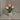 TulipGlow | LED Nachtbloem Lamp - Bliss Home
