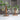GlowPlant | Glazen Tafelplant Lamp - Bliss Home