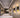 AquaClearGlow | Waterdichte Buitenverlichting - Bliss Home