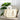 SafeCarry | Trendy Draagtas voor Honden en Katten - Bliss Home