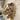 RoarMajesty | Majestueuze Leeuwenkop Wandsculptuur - Bliss Home
