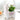 LlamaLeaf – Keramische Potten met Alpaca Design - Bliss Home
