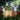 AuraGlow | Zonneballen met Engelenlicht - Bliss Home