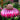 FloraSnack – Bloemvormige Vogelvoeder voor Tuinvogels - Bliss Home
