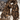 LeopardCharm – Warme Dames Sjaal van Imitatie Kasjmier met Luipaardprint en Kwastjes - Bliss Home