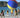 SunnyPlay | Opblaasbare Strand Speelbal - Bliss Home