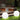 GlansBol – Buitenlamp Sfeervolle Tuinverlichting - Bliss Home
