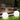 GlansBol – Buitenlamp Sfeervolle Tuinverlichting - Bliss Home