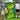 SwingMaster – Complete Golf Trainingsset voor Authentieke Ervaring - Bliss Home