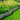 GardenStone – Graskanten in Realistische Steenlook voor Tuinafwerking - Bliss Home