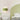Solévia – Elegante Wandlamp – Met Artistiek Golvend Silhouet en Diffuus Licht - Bliss Home