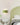 Solévia – Elegante Wandlamp – Met Artistiek Golvend Silhouet en Diffuus Licht - Bliss Home