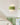 Solévia – Elegante Wandlamp – Met Artistiek Golvend Silhouet en Diffuus Licht - Bliss Home