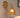 RetroLume - Klassieke Glazen Tulpen Wandlamp voor Warme Sfeer - Bliss Home