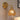 RetroLume - Klassieke Glazen Tulpen Wandlamp voor Warme Sfeer - Bliss Home
