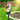 ShinePillar | Tuinlamp met Zonne-energie en Paal - Bliss Home